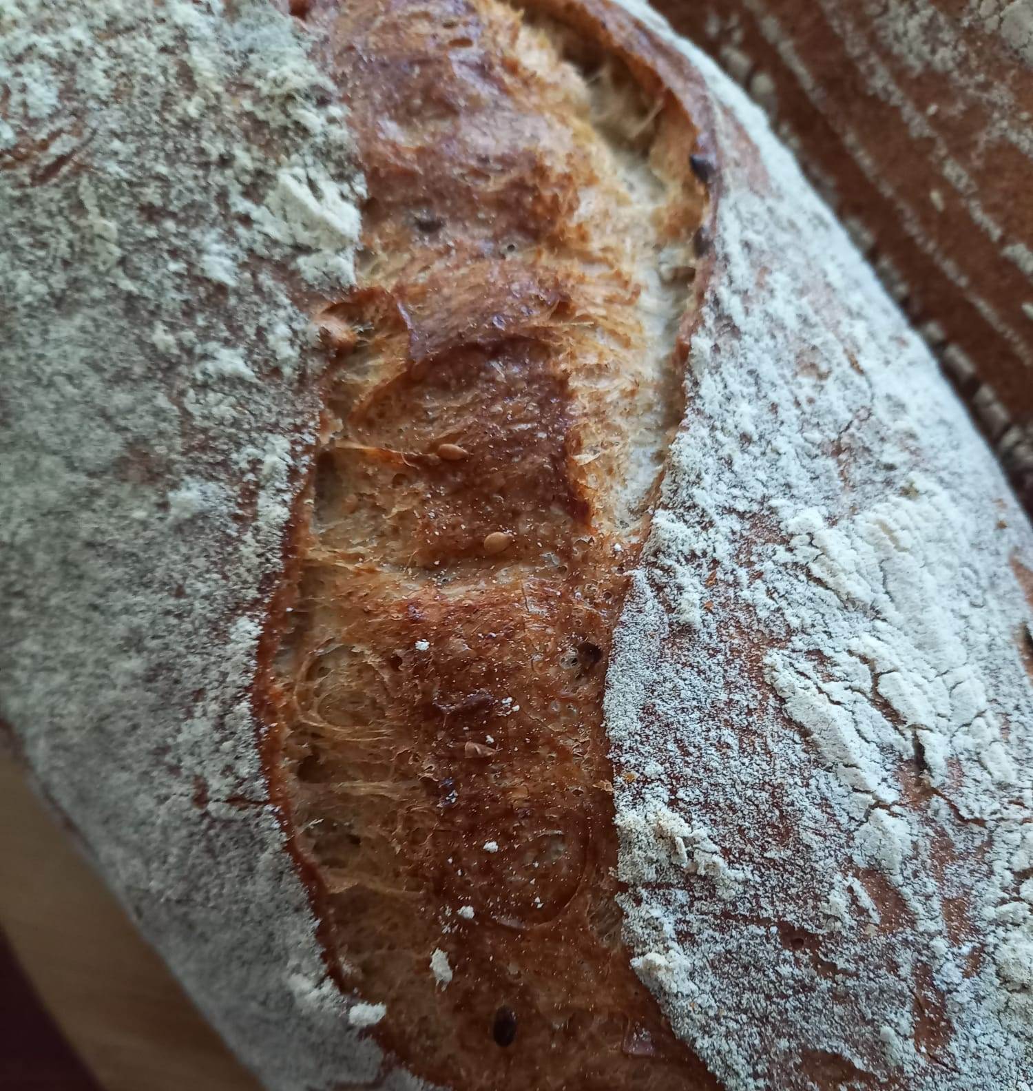 Pâine integrală de grâu cu semințe 500 g cu maia naturală și făină măcinată la moara cu pietre